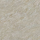 Anti piastrella per pavimento ceramica batterica della cucina, mattonelle di pietra della porcellana di sguardo