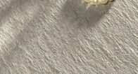 Assorbimento resistente Rate Less Than 0,05% delle mattonelle della porcellana dell'arenaria del graffio