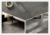 Modello differente resistente all'acido di Grey Porcelain Floor Tiles 600x600