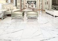 Glassi le mattonelle resistenti della porcellana 24x48, mattonelle di marmo della porcellana di stile