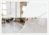 Manutenzione facile di alta di lucentezza della porcellana dimensione bianca delle piastrelle per pavimento 600x1200 millimetro