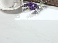 Uso dell'interno ed all'aperto delle mattonelle moderne bianche della porcellana di Carrara del pavimento e della parete