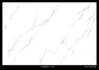 Mattonelle bianche lustrate della porcellana del marmo di Calacatta Carrara, piastrelle per pavimento interne 810*1410mm