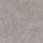 Progettazione interna ed esteriore Grey Ceramic Tiles/Matte Finshed Porcelain Floor Tiles durevole 600*600 della Camera