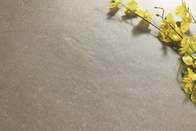 Micro colore di beige di Novalux del cemento delle piastrelle di ceramica dell'interno antibatteriche