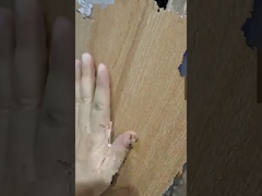 Introduzione della piastrella in ceramica effetto legno 200x1200mm