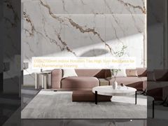 1200x2700mm Piastrelle di porcellana per interni Alta resistenza alle macchie per facili manutenzioni