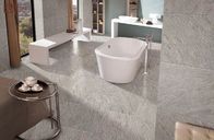 Grey Porcelain Floor Tiles leggero dell'interno/all'aperto 600x600, mattonelle di marmo della porcellana