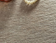 Non slitti le mattonelle della porcellana dell'arenaria, mattonelle dell'interno della porcellana di Matte Finish Rustic Floor Tiles 60x60 cm