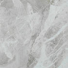 La porcellana dell'arenaria della cucina piastrella/grandi piastrelle per pavimento ceramiche resistenti all'acido