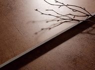 Piastrella per pavimento decorativa della porcellana del salone di dimensione delle mattonelle 600x600 millimetro del metallo delle mattonelle di accento delle mattonelle di sguardo del metallo della ruggine