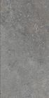 Mattonelle all'aperto del cemento della piastrella per pavimento della porcellana della stanza di Matte Finish Grey Vitrified Living