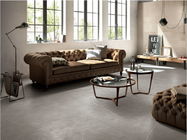 Progettazione interna 60x60cm Grey Color Thin For Bedroom del pavimento della piastrella di ceramica e salone