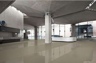 Piastrella per pavimento ceramica 1600*3200mm interna della cucina di ampio formato