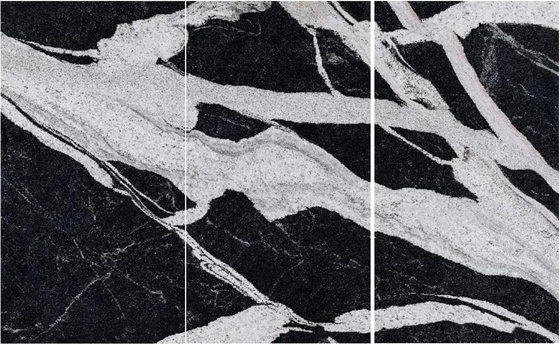 Mattonelle nere senior della lastra del marmo di colore di Versace per la pavimentazione dell'interno della parete del pavimento