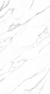 Elegante lastra di marmo bianco in gres porcellanato resistente agli acidi di pietra da neve