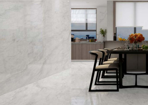 4 Modello di tappeto grigio look porcellana piastrelle pavimenti ad alte prestazioni