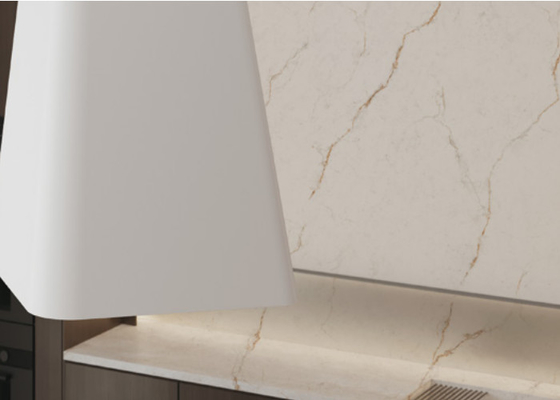 Piastrelle da terra in porcellana resistenti ai graffi a 3 modelli pannelli interni a prova di macchie < 0,5% assorbimento dell'acqua