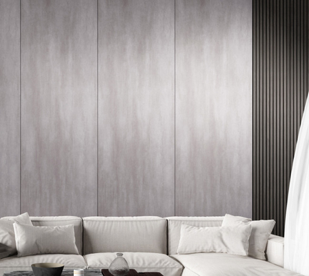 800*2600mm pannelli di porcellana grigio per applicazioni versatili