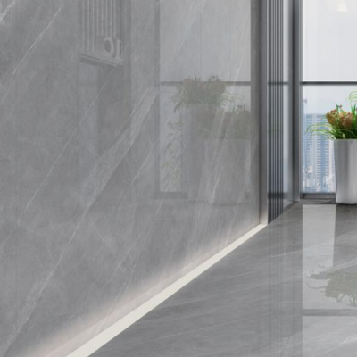00,5% di assorbimento dell' acqua Piastrelle di porcellana per interni in grigio con 4 modelli