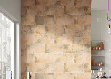 Pavimento decorativo all'aperto Particels Matt Surface delle piastrelle per pavimento del cemento