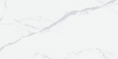Le mattonelle esotiche della porcellana di Groggery della camera da letto delle mattonelle della porcellana della disposizione 24x48 non slittano la dimensione bianca eccellente di colore 600x1200mm