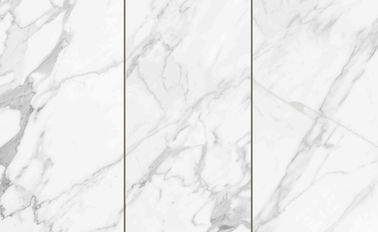 Le 600 x 300 mattonelle dell'interno della porcellana, abbelliscono il marmo bianco di colore piastrellano le lastre