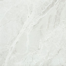 Le mattonelle dell'interno antibatteriche della porcellana accendono Grey Glazed Polished Surface