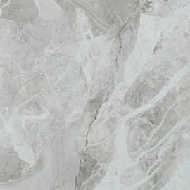 La porcellana dell'arenaria della cucina piastrella/grandi piastrelle per pavimento ceramiche resistenti all'acido