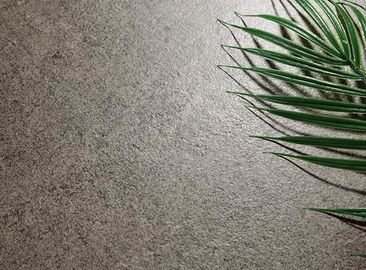 Mattonelle rustiche di Textre di dimensione della piastrella di ceramica 300x600 millimetro di colore della sabbia della piastrella per pavimento di nuova progettazione 3D Digital