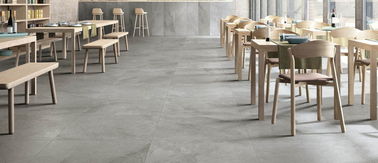 Mattonelle di pietra resistenti all'acido della porcellana di sguardo di Grey Matt Finish Tiles For Walls