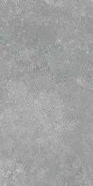 Piastrella per pavimento all'aperto dell'interno 60*120cm di progettazione delle mattonelle/cemento della porcellana