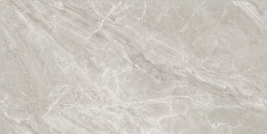 Grey Gloss Bathroom Ceramic Tile di riserva 36*72 misura la stanza in pollici lucidata dell'interno di ForLiving