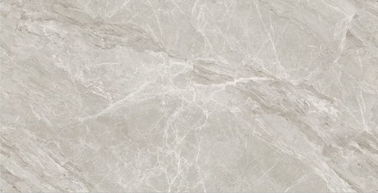 La fabbricazione 60X72 di progettazione di prezzo franco fabbrica misura le mattonelle in pollici dell'interno di Grey Ceramic Rustic Floor Wall delle mattonelle della porcellana fatte in Cina