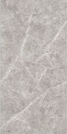 Alta piastrella di ceramica resistente all'acido Grey Color Thickness di Barthroom di resistenza all'usura 10mm