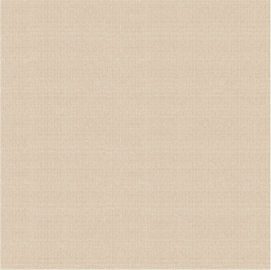 Mattonelle della porcellana di Matt Surface Non Slip Modern, Matt Porcelain Tiles rustico