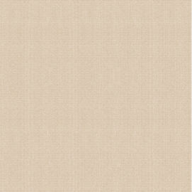 Mattonelle della porcellana di sguardo di Matt Surface Non Slip Cement, Matt Porcelain Tiles rustico 600*600mm