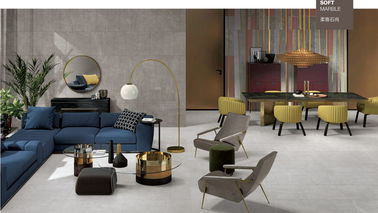 OEM o ODM Matt Surface Tile 600*600mm/piastrella per pavimento durevole della porcellana del salone