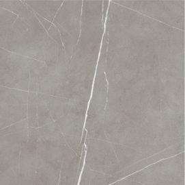 Progettazione interna 60x60cm Grey Color Thin For Bedroom del pavimento della piastrella di ceramica e salone