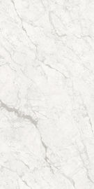 Piastrella di ceramica resistente all'uso di 900*1800mm Barthroom