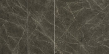 Nuova piastrella per pavimento della porcellana di stile 900*1800mm di grande modo della parete