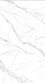 Mattonelle dell'interno della porcellana di grandi della lastra di Matt Surface 1200*2400 della piastrella per pavimento vendite calde bianche di colore in di riserva