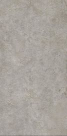 Piastrella per pavimento della porcellana del salone di Grey Full Matt Surface 1200x2400