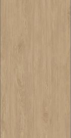 Grande lastra 48' mattonelle di legno della parete della porcellana di sguardo di X96 12.5mm