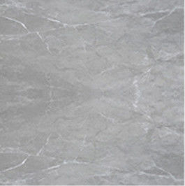 Piastrella per pavimento piena della porcellana del salone di sguardo 10mm 60*60cm del marmo del corpo